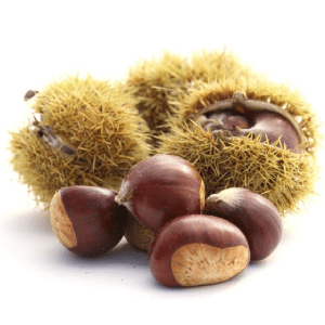 Chestnut