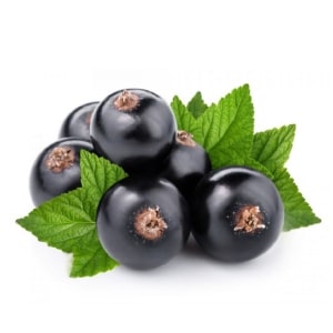 Blackcurrant