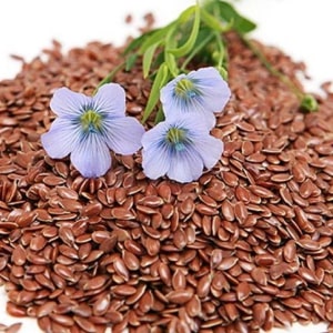 Flax