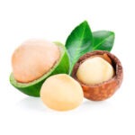 Macadamia (Oil)