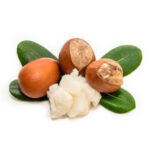 Shea (Butter)