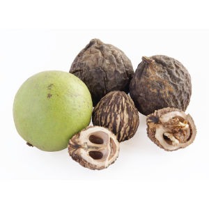 Walnut